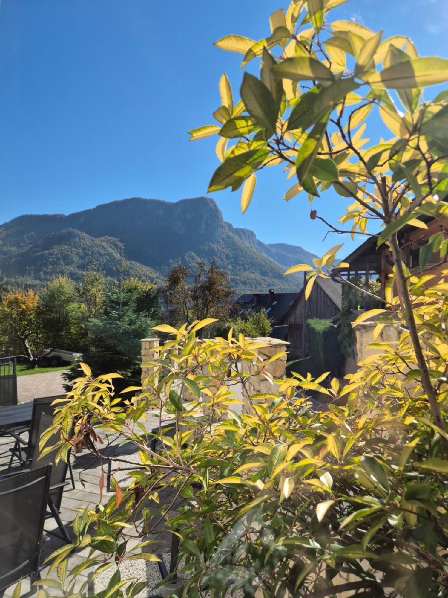Apartmaji Pr'Pisk Bohinjska Bela Exterior photo